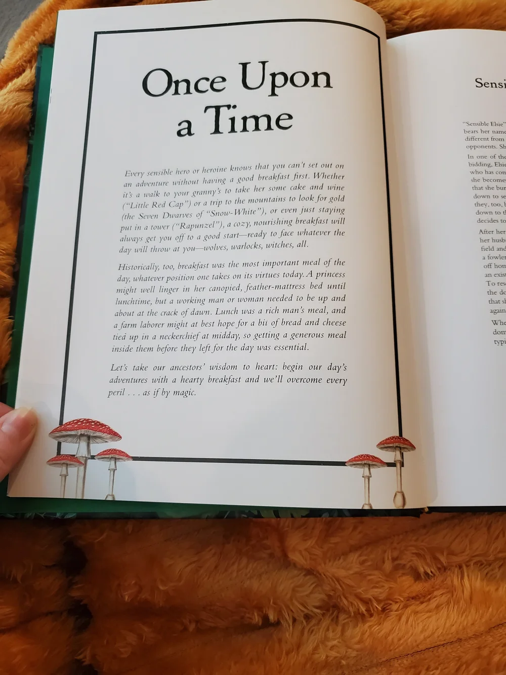 The Brothers Grimm Cookbook - Blue Fairy Tale Cookbook